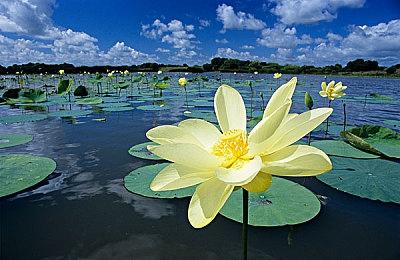 国家计算机病毒应急处理中心：多款游戏B服隐私不合规