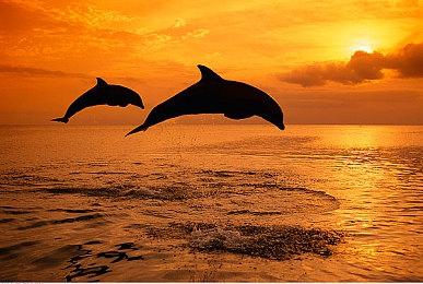 《Dreams》与梅赛德斯奔驰联动预告 畅想未来